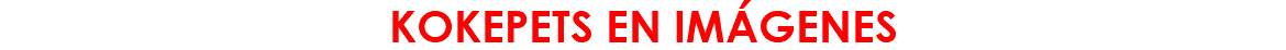 KOKEPETS EN IMÁGENES